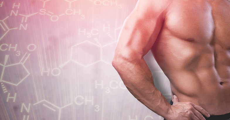 The Link Between Supplemental HCG and Healthier Testosterone Levels